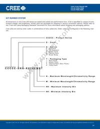 C513A-WSN-CV0Y0152 Datasheet Page 14