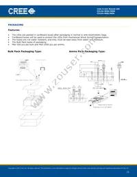 C513A-WSN-CV0Y0152 Datasheet Page 15