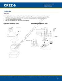 C513A-WSS-CW0Z0231 Datasheet Page 17