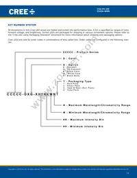 C543A-WMN-CCCKK141 Datasheet Page 11