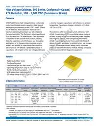 C640C102MHR5TA Datasheet Cover