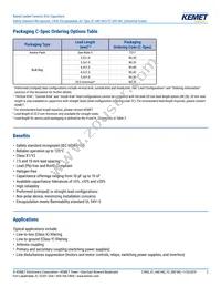 C901U510JZSDAAWL45 Datasheet Page 2