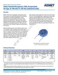 C921U222MUVDBA7317 Datasheet Cover