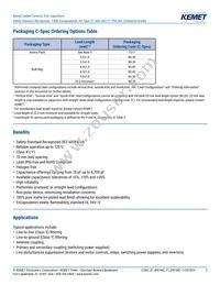 C921U222MUVDBA7317 Datasheet Page 2