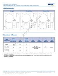 C921U222MUVDBA7317 Datasheet Page 3