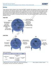 C921U222MUVDBA7317 Datasheet Page 11