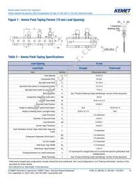 C921U222MUVDBA7317 Datasheet Page 13