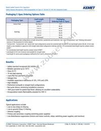 C961U222MWWDBAWL40 Datasheet Page 2