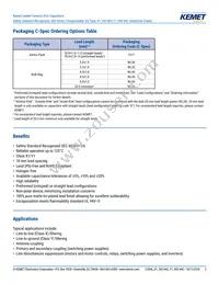 C961U222MWWDCAWL20 Datasheet Page 2