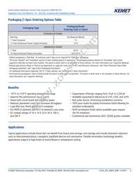 CA052X222K1GAC7800 Datasheet Page 2