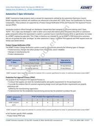 CA052X222K1GAC7800 Datasheet Page 3