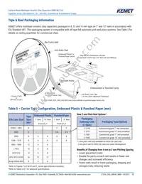 CA052X222K1GAC7800 Datasheet Page 12