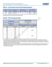 CA052X683K5RAC7800 Datasheet Page 7