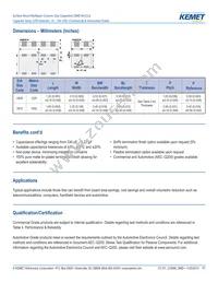 CA064C561K2RACTU Datasheet Page 2