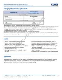 CA064X103K2RACAUTO Datasheet Page 2