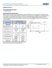 CA064X103K2RACAUTO Datasheet Page 8