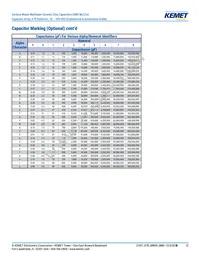 CA064X103K2RACAUTO Datasheet Page 12