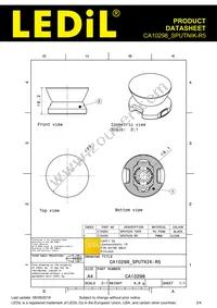 CA10298_SPUTNIK-R5 Datasheet Page 2