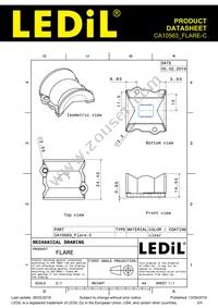 CA10563_FLARE-C Datasheet Page 2