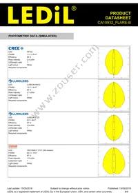 CA10932_FLARE-B Datasheet Page 8