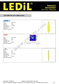 CA11016_TINA2-RS Datasheet Page 5