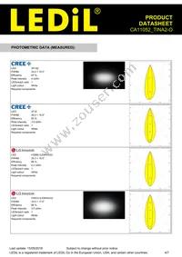 CA11052_TINA2-O Datasheet Page 4