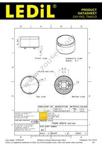 CA11053_TINA2-O Datasheet Page 2