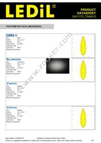 CA11173_TINA2-O Datasheet Page 3