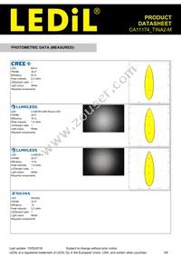 CA11174_TINA2-M Datasheet Page 3