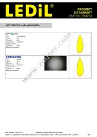 CA11175_TINA2-W Datasheet Page 4