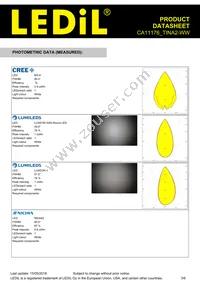 CA11176_TINA2-WW Datasheet Page 3