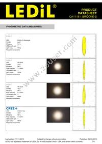 CA11181_BROOKE-S Datasheet Page 3