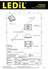 CA11243_STRADA-DW Datasheet Page 2