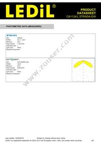 CA11243_STRADA-DW Datasheet Page 4