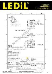CA11248_STRADA-S Datasheet Page 2
