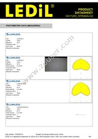 CA11253_STRADA-C2 Datasheet Page 4