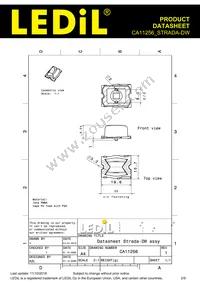 CA11256_STRADA-DW Datasheet Page 2