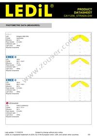 CA11256_STRADA-DW Datasheet Page 3