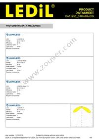 CA11256_STRADA-DW Datasheet Page 4