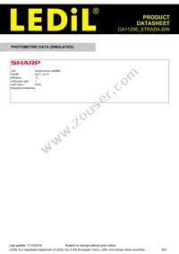 CA11256_STRADA-DW Datasheet Page 8