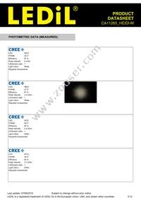 CA11265_HEIDI-M Datasheet Page 3
