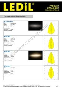 CA11266_HEIDI-O Datasheet Page 7