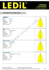 CA11266_HEIDI-O Datasheet Page 12