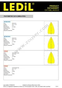 CA11266_HEIDI-O Datasheet Page 13