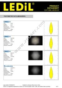 CA11268_HEIDI-W Datasheet Page 4