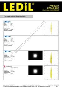 CA11353_LAURA-RS Datasheet Page 3