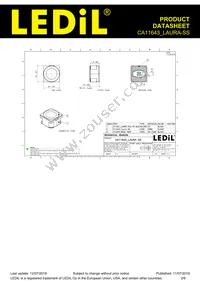 CA11643_LAURA-SS Datasheet Page 2