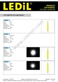 CA11643_LAURA-SS Datasheet Page 3