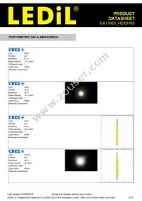 CA11663_HEIDI-RS Datasheet Page 3