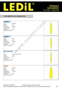 CA11847_TINA2-RS Datasheet Page 4